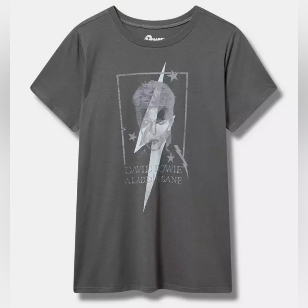 Torrid Gray Ziggy Stardust David Bowie Graphic Band Tee T-Shirt 3X 22/24 NWT